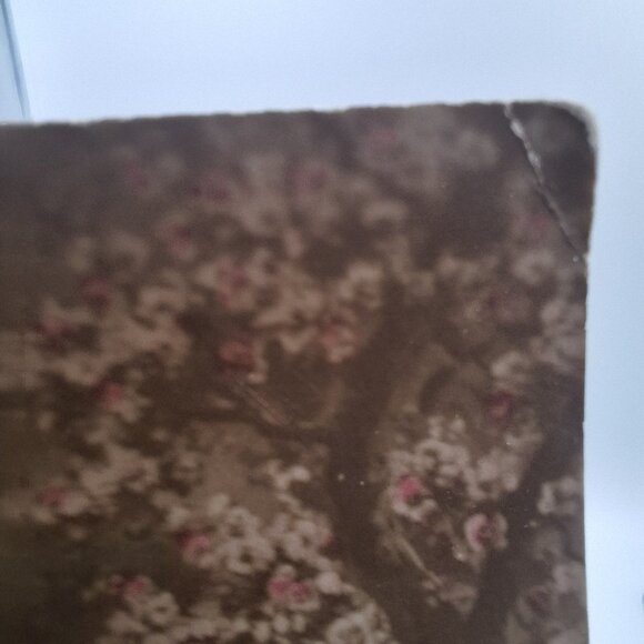 Idylle Sous Bois Antique Postcard Lover Scene French Writing Sentimental Wedding - Picture 8 of 9